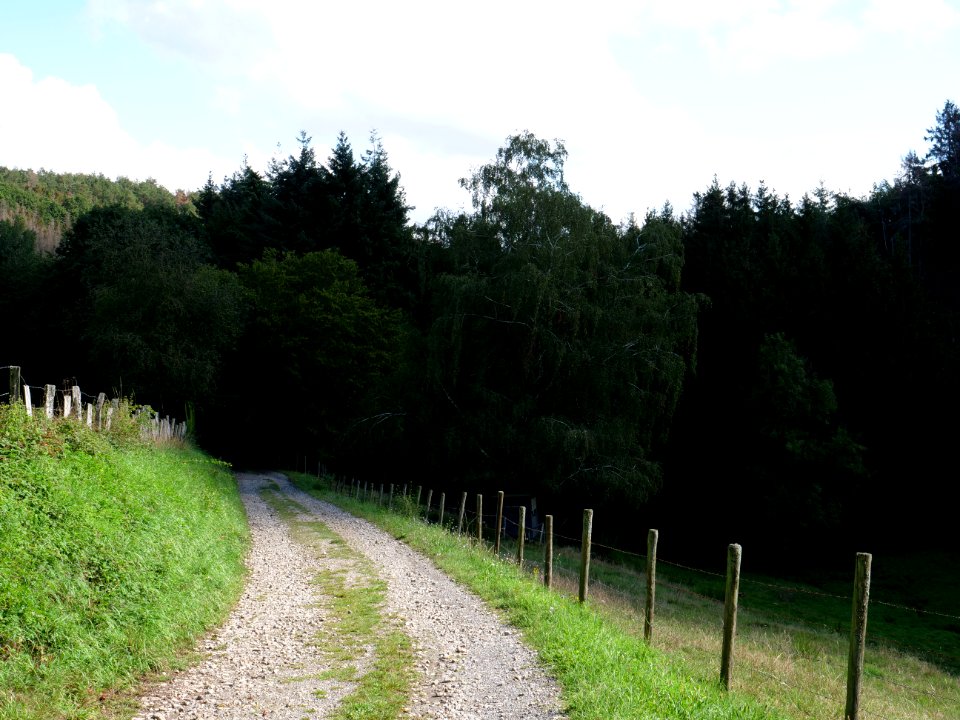 Around Schlehbach between Schmidt and Brück 05