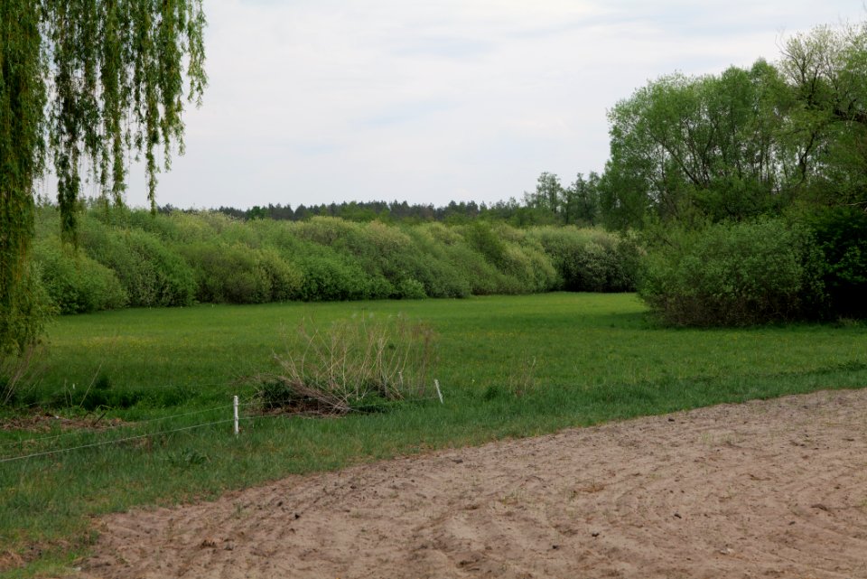 Around Pinnower See 2020-05-10 12
