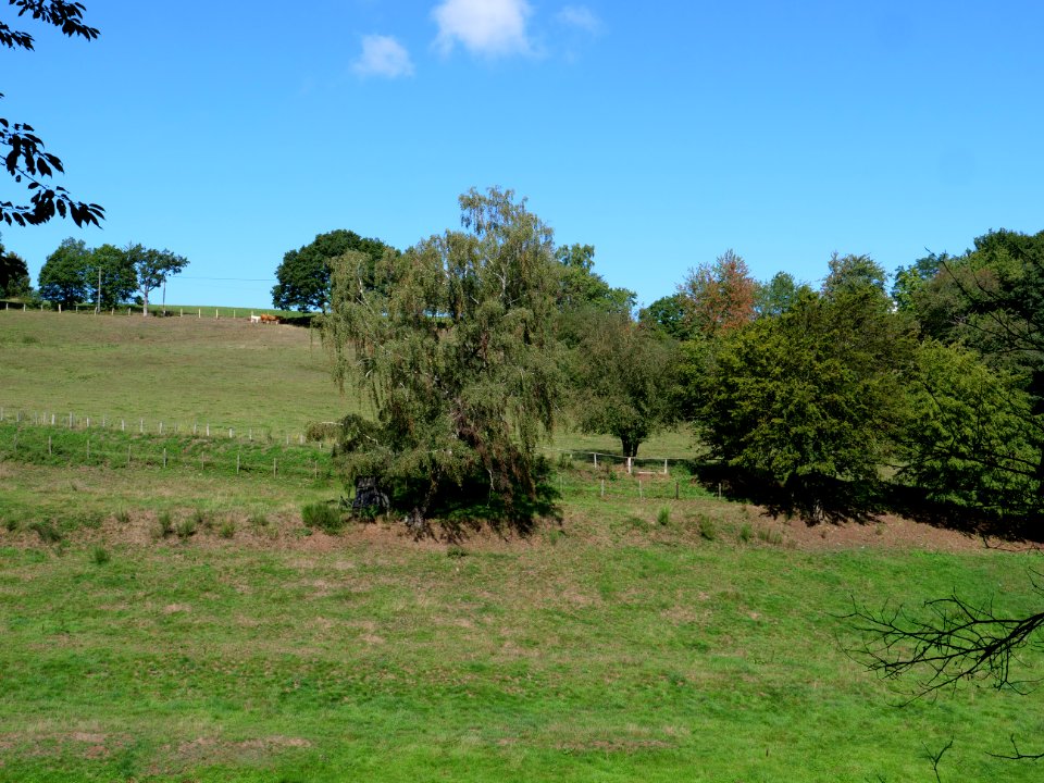 Around Schlehbach between Schmidt and Brück 02