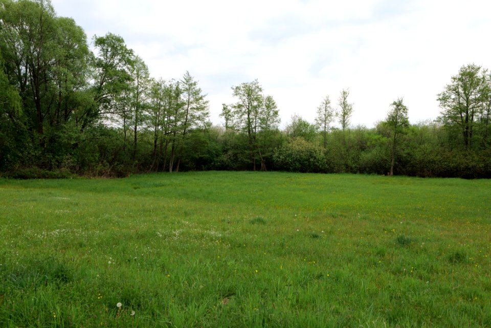 Around Pinnower See 2020-05-10 25