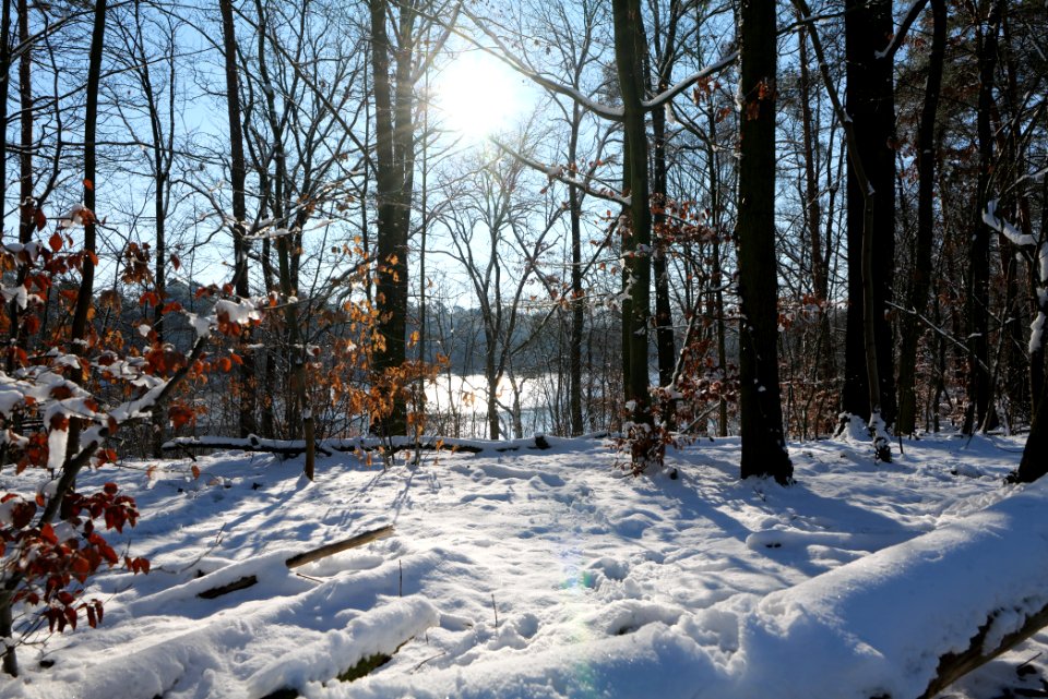 Around Schlachtensee with snow 2021-01-31 24
