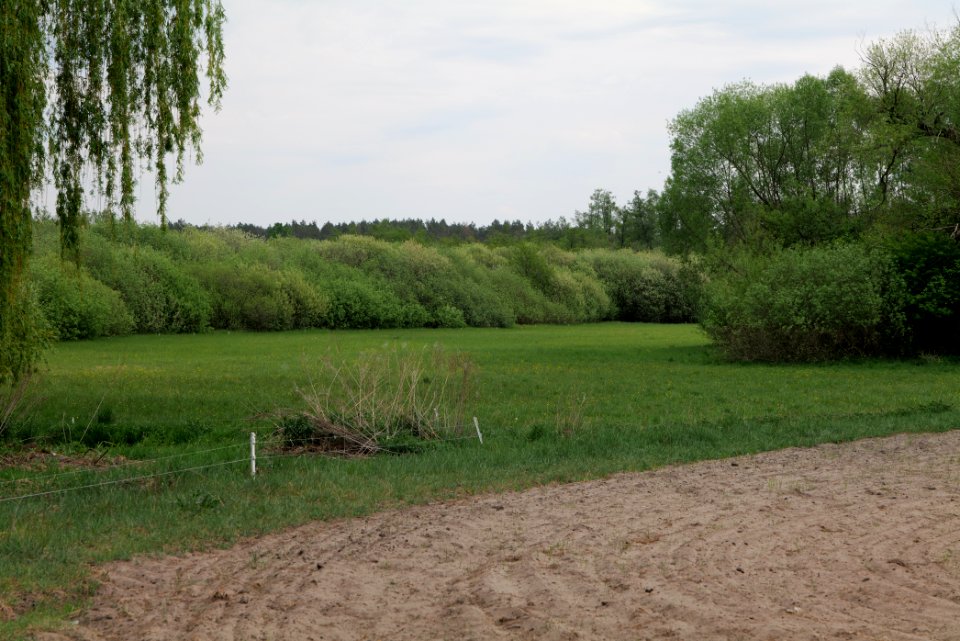 Around Pinnower See 2020-05-10 11