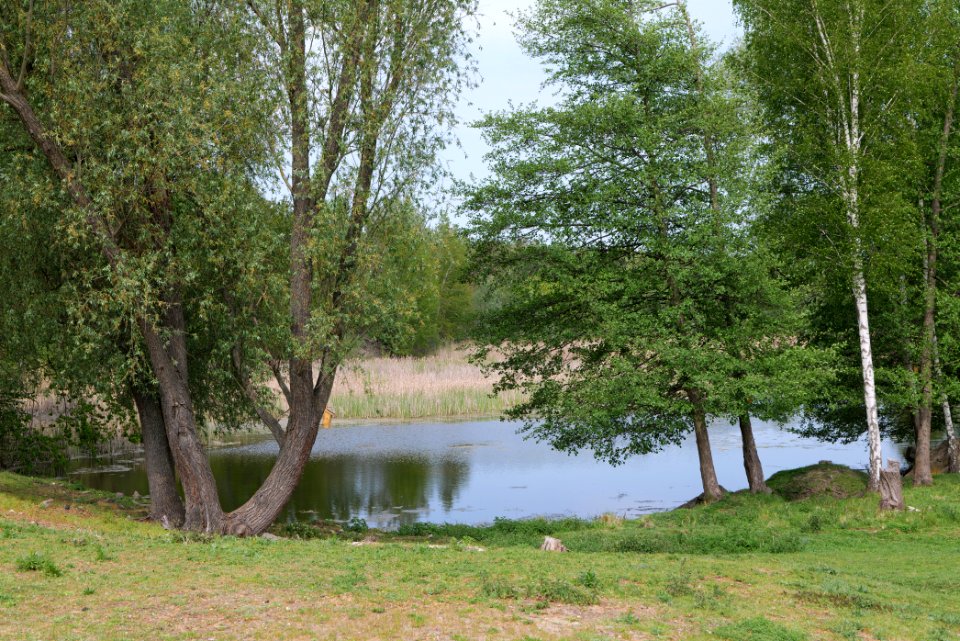 Around Hohenschöpping 2020-05-10 11
