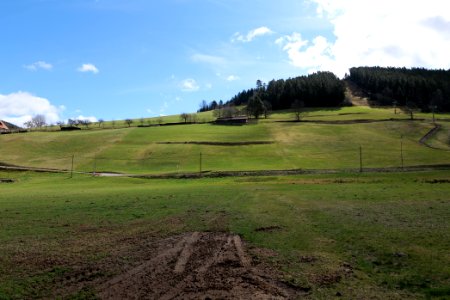 Around Sankenbach 2020-03-12 12