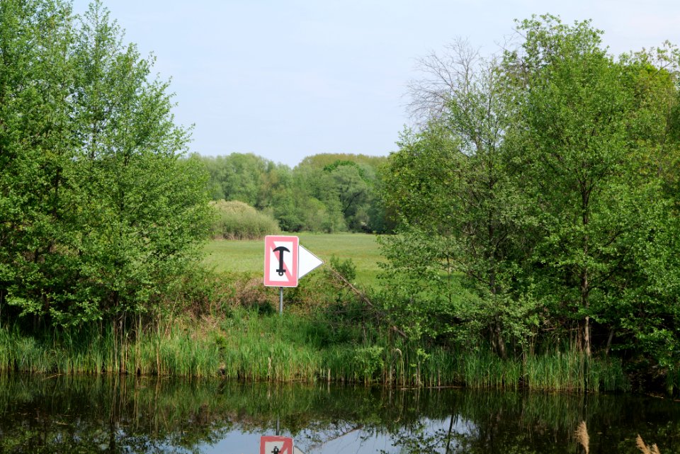 Around Pinnower See 2020-05-10 02