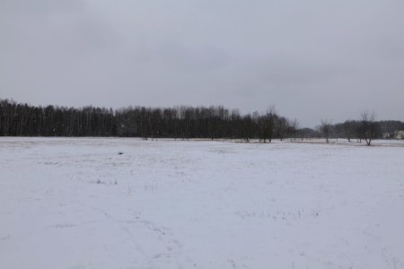 Around Oberjägerweg in Nieder Neuendorf with snow 2021-02-09 05