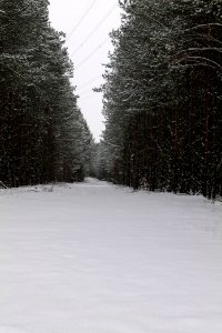 Around Oberjägerweg in Nieder Neuendorf with snow 2021-02-09 17