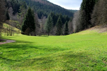 Around Sankenbach 2020-03-12 25