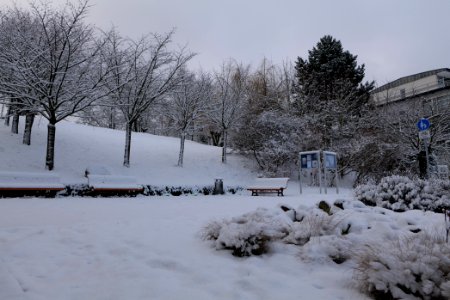 Around Griebnitzsee with snow 2021-01-30 02