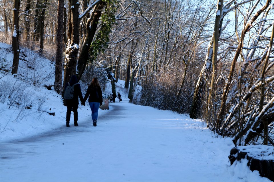 Around Schlachtensee with snow 2021-01-31 13