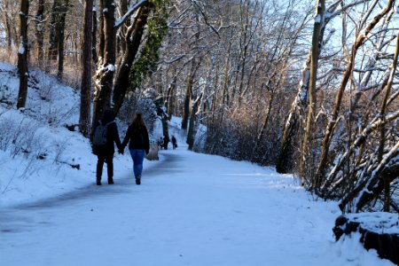 Around Schlachtensee with snow 2021-01-31 13