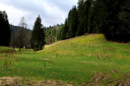Around Sankenbach 2020-03-12 43