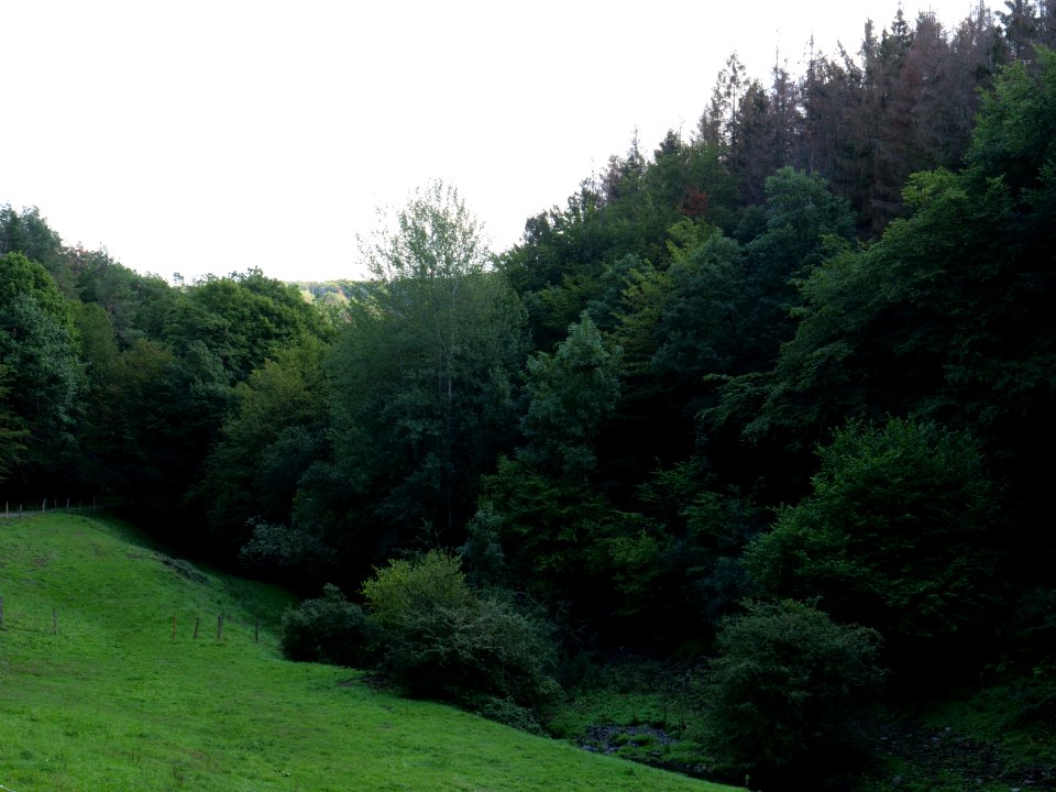 Around Schlehbach between Schmidt and Brück 06