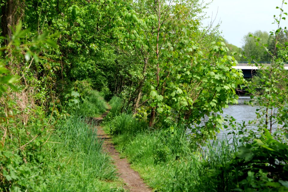 Around Hohenschöpping 2020-05-10 20