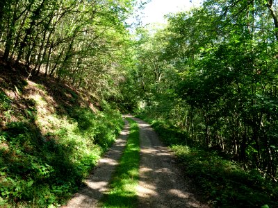 Around Schlehbach between Schmidt and Brück 07