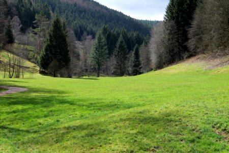 Around Sankenbach 2020-03-12 26