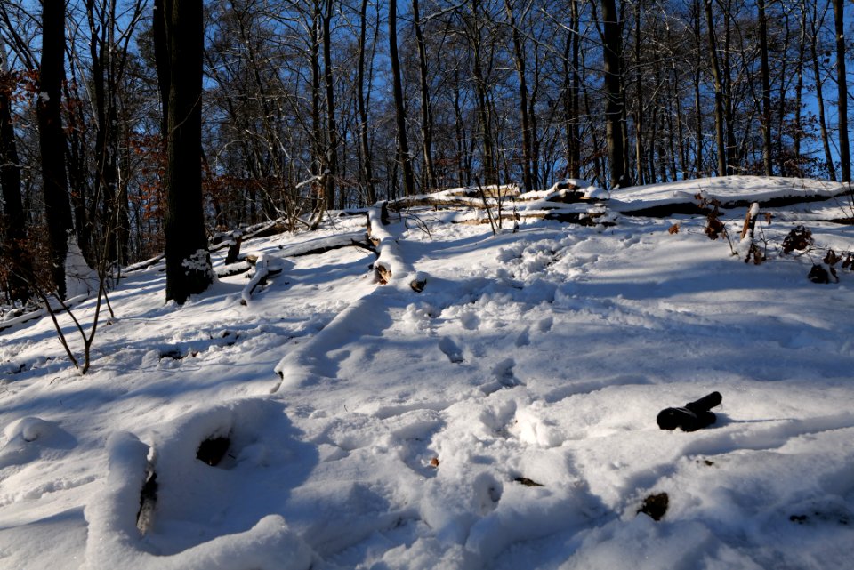 Around Schlachtensee with snow 2021-01-31 16
