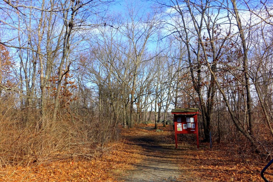 Arlington's Great Meadows - Lexington, MA - DSC04528