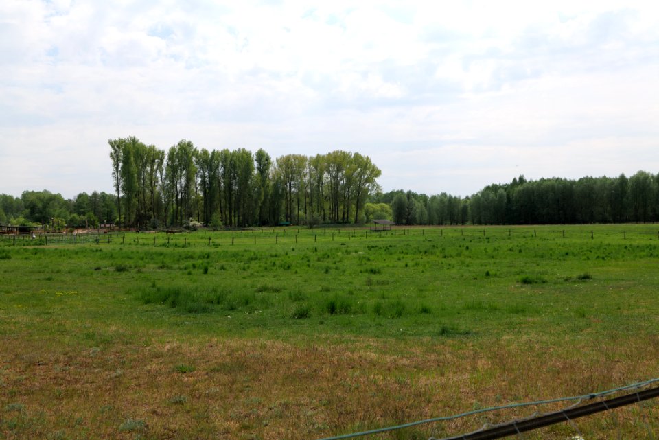 Around Hohenschöpping 2020-05-10 01