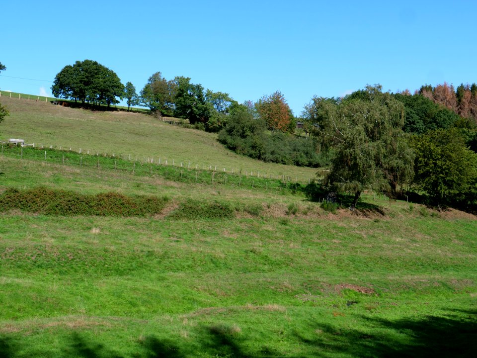 Around Schlehbach between Schmidt and Brück 03