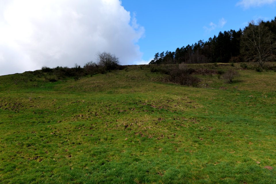 Around Sankenbach 2020-03-12 18
