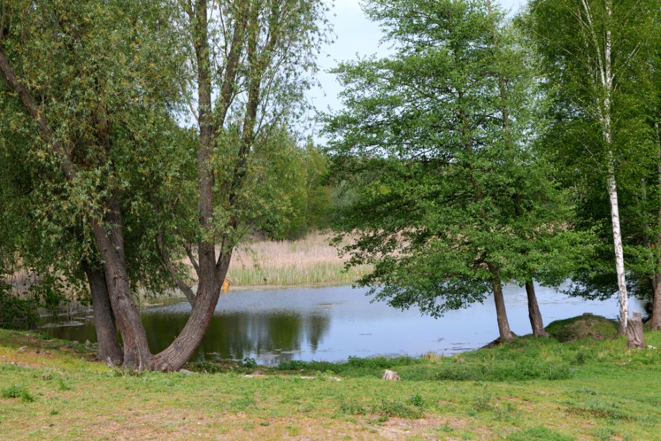 Around Hohenschöpping 2020-05-10 10