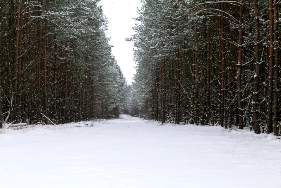 Around Oberjägerweg in Nieder Neuendorf with snow 2021-02-09 15