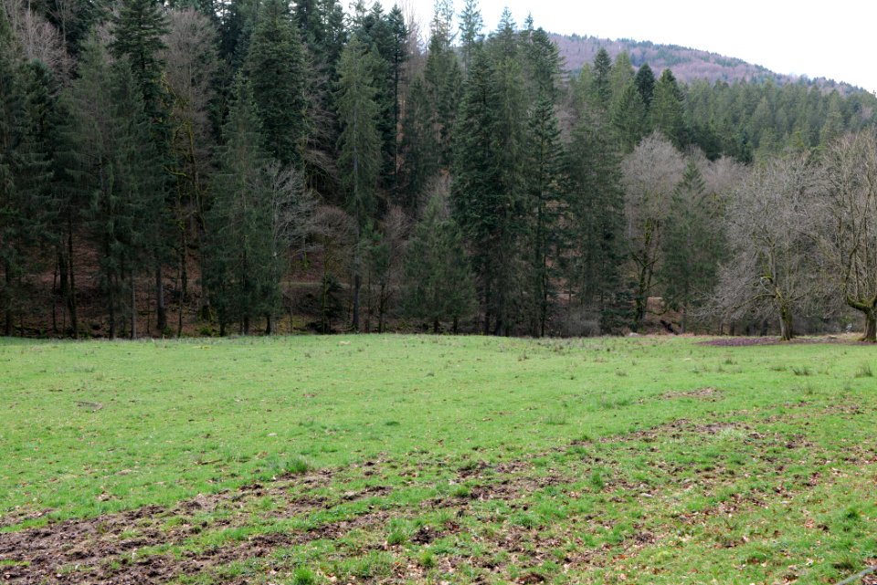 Around Harzbach 2020-03-13 10