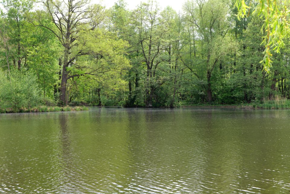 Around Hohenschöpping 2020-05-10 13