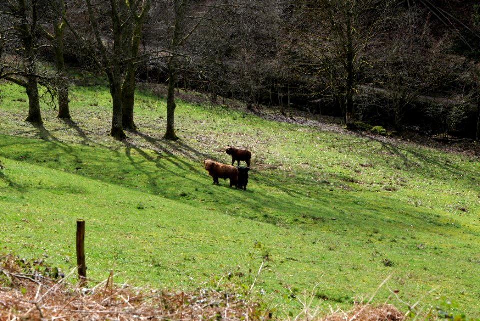 Around Harzbach 2020-03-13 22