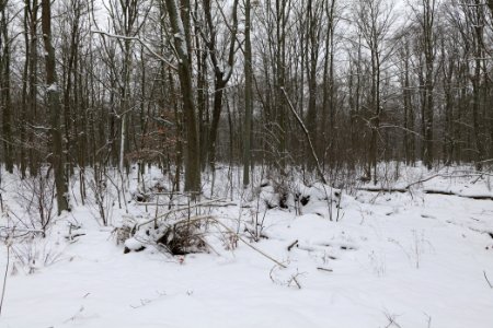 Around Oberjägerweg in Nieder Neuendorf with snow 2021-02-09 08