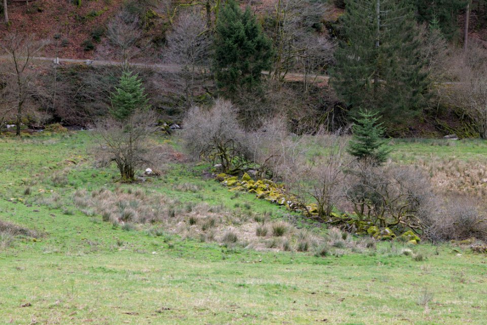 Around Harzbach 2020-03-13 16