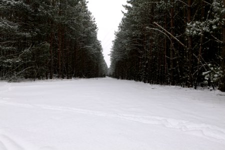 Around Oberjägerweg in Nieder Neuendorf with snow 2021-02-09 12