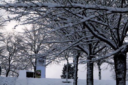 Around Griebnitzsee with snow 2021-01-30 06