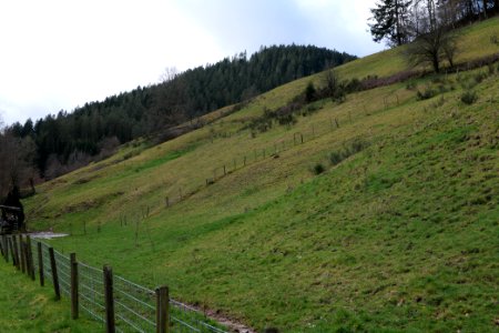 Around Sankenbach 2020-03-12 16