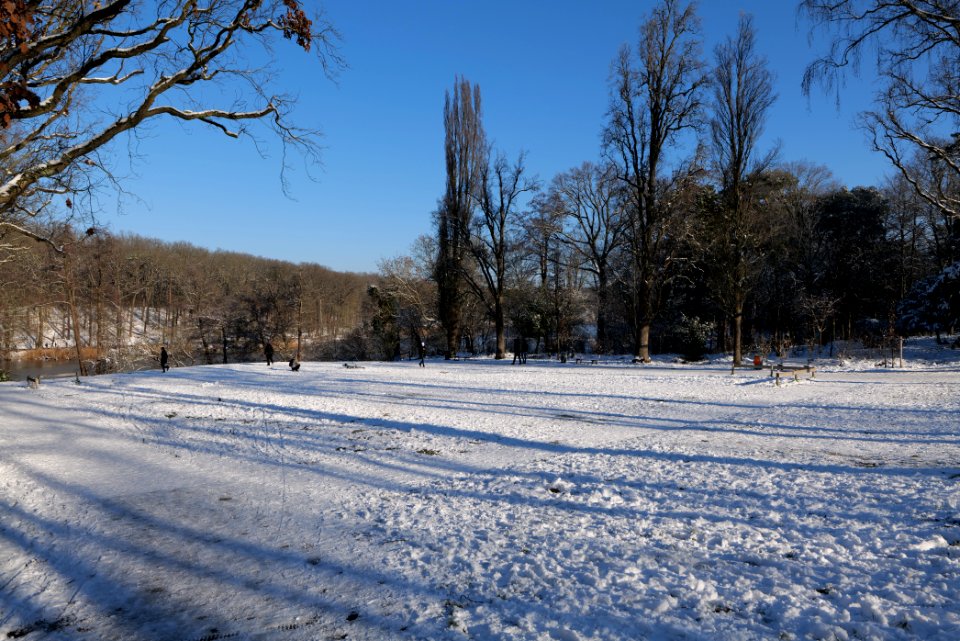 Around Schlachtensee with snow 2021-01-31 03