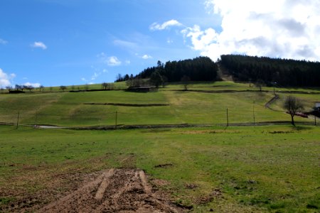 Around Sankenbach 2020-03-12 09