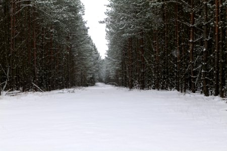 Around Oberjägerweg in Nieder Neuendorf with snow 2021-02-09 13