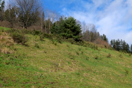 Around Sankenbach 2020-03-12 13