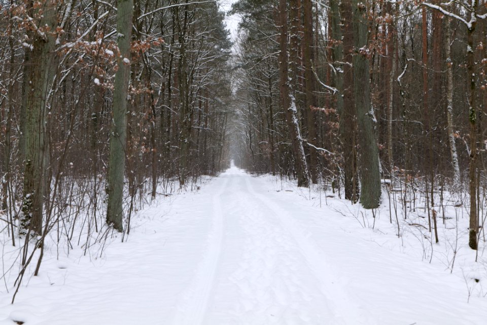 Around Oberjägerweg in Nieder Neuendorf with snow 2021-02-09 09