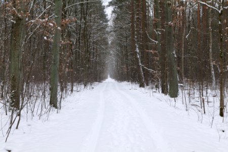 Around Oberjägerweg in Nieder Neuendorf with snow 2021-02-09 09