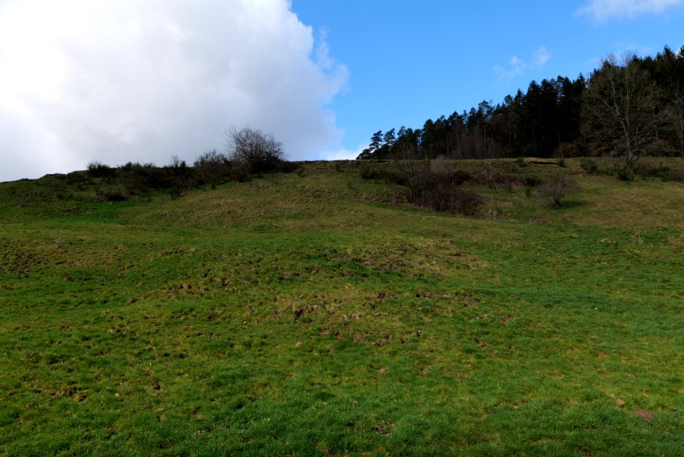 Around Sankenbach 2020-03-12 19