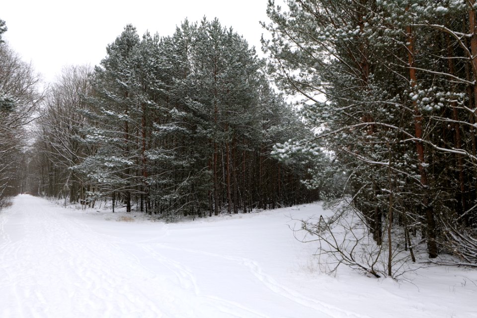 Around Oberjägerweg in Nieder Neuendorf with snow 2021-02-09 21