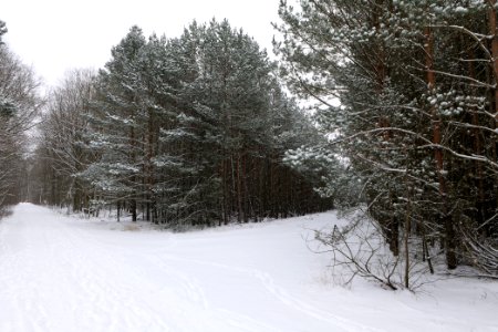 Around Oberjägerweg in Nieder Neuendorf with snow 2021-02-09 21