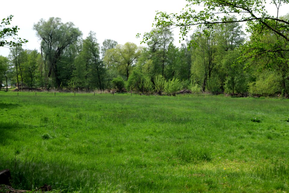 Around Hohenschöpping 2020-05-10 27
