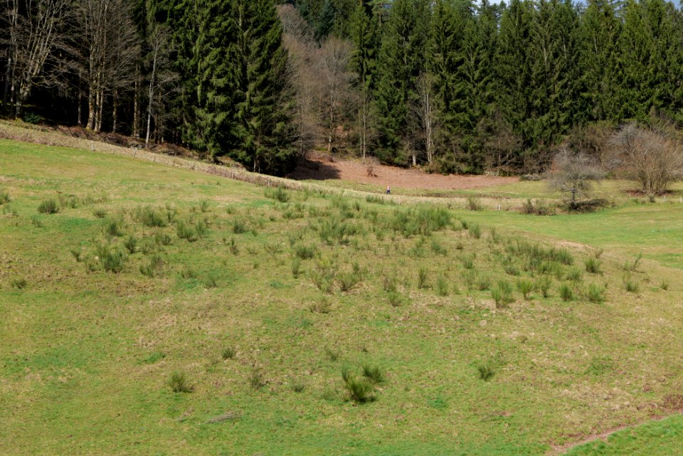 Around Sankenbach 2020-03-12 17