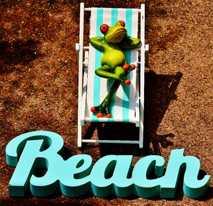 Frog summer sun