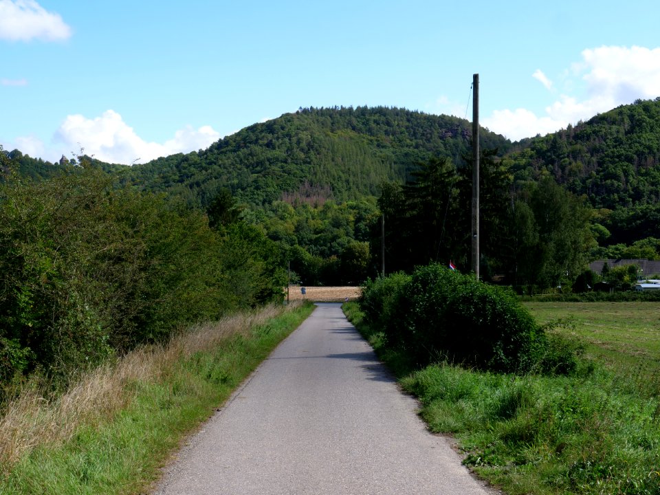 Around Schlehbach between Schmidt and Brück 20