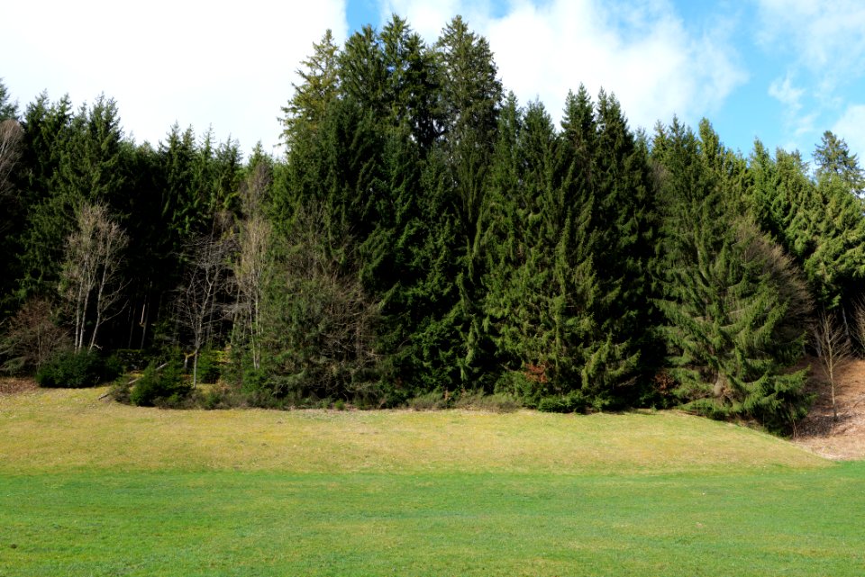 Around Sankenbach 2020-03-12 30