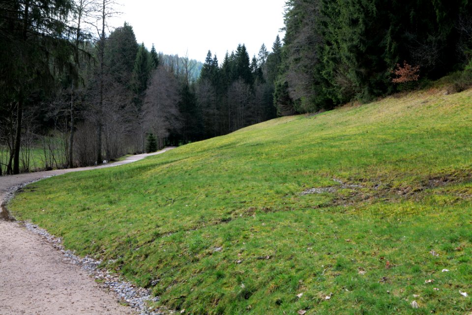 Around Sankenbach 2020-03-12 36